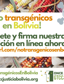 GTCCJ Bolivia inicia petición contra transgénicos