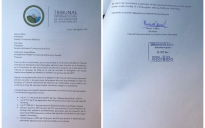 Tribunal Internacional de la Naturaleza pide a Bolivia un informe sobre incendios el 2019