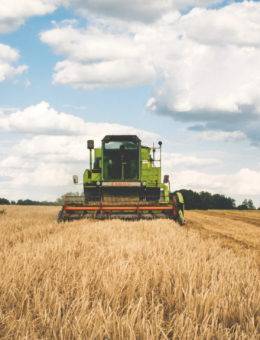 ¿Por qué SI debiésemos apostar por una agricultura que hace mucho más que solo producir alimentos?