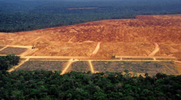 deforestation-square-in-amazonas-5fzxxitlzvv4j2xz